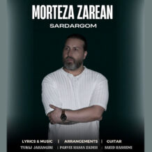 آهنگ جدید مرتضی زارعان به نام سردرگم